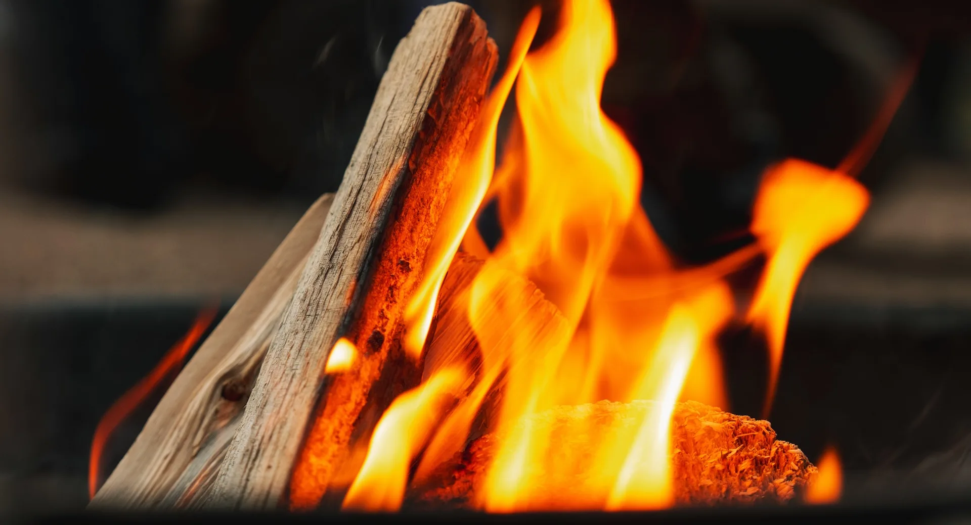 Fire: burning logs