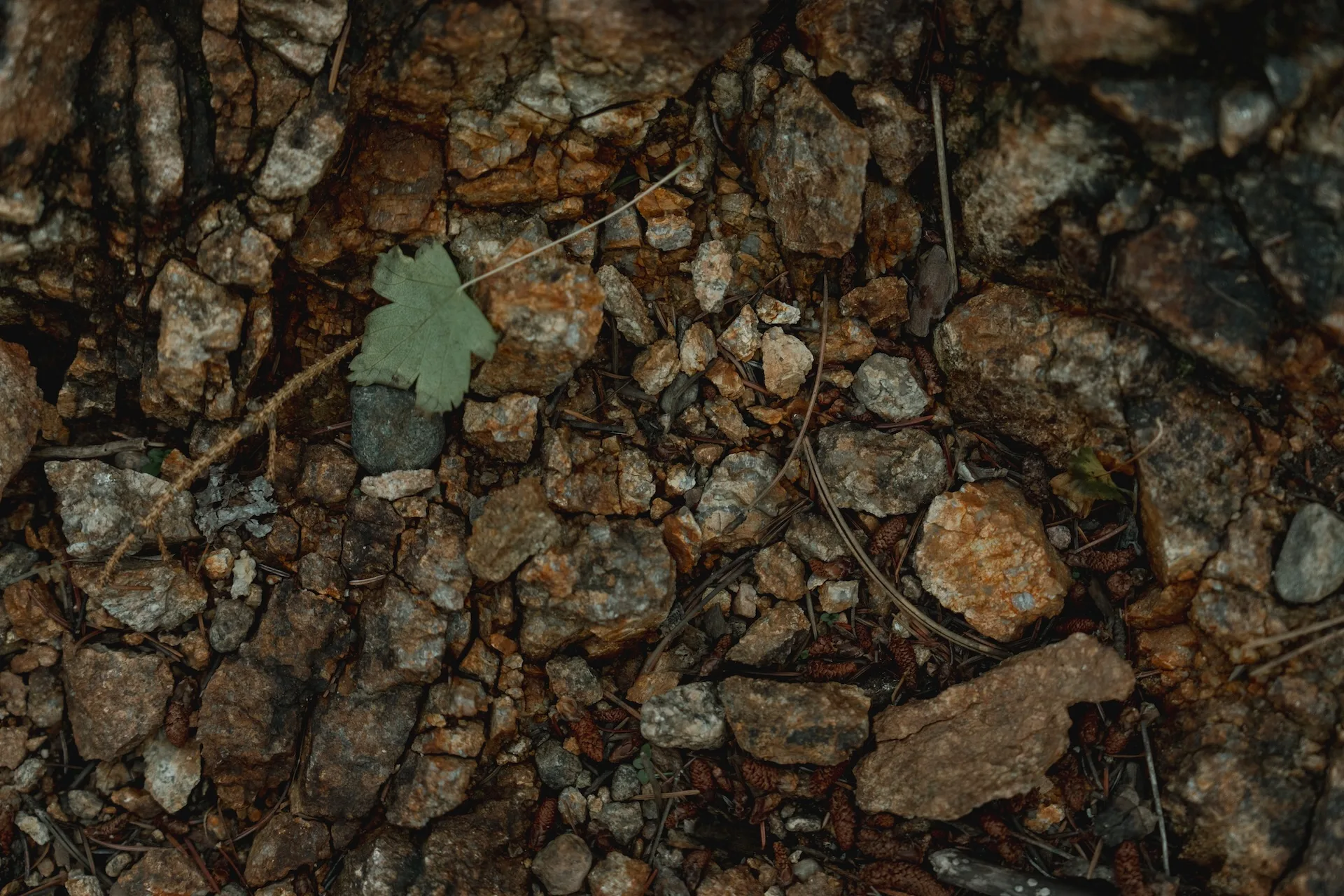 Gravel along a river