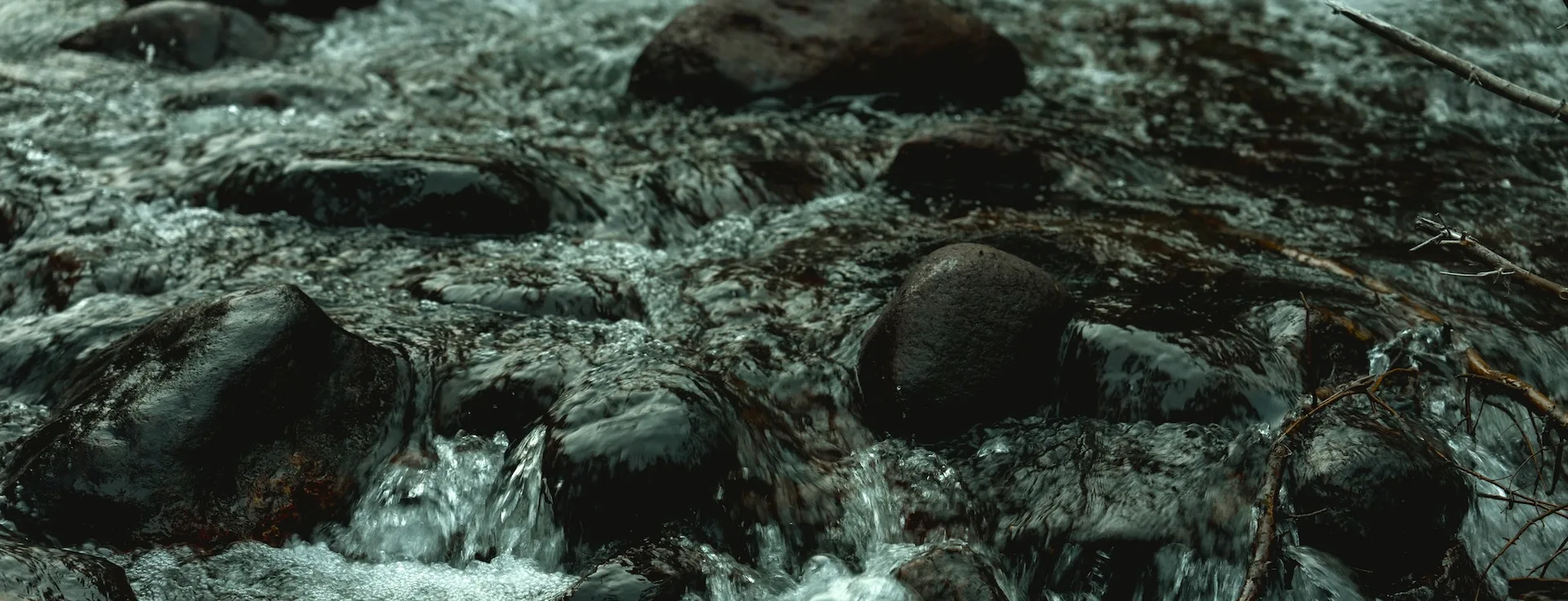 Corporate Transparency Act Update: What to do now?