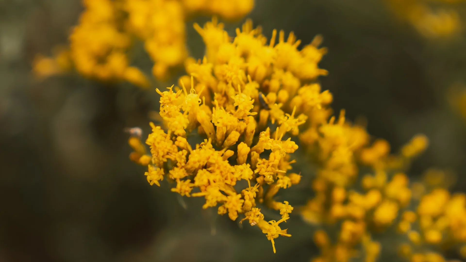 How to Structure Your Charitable Giving